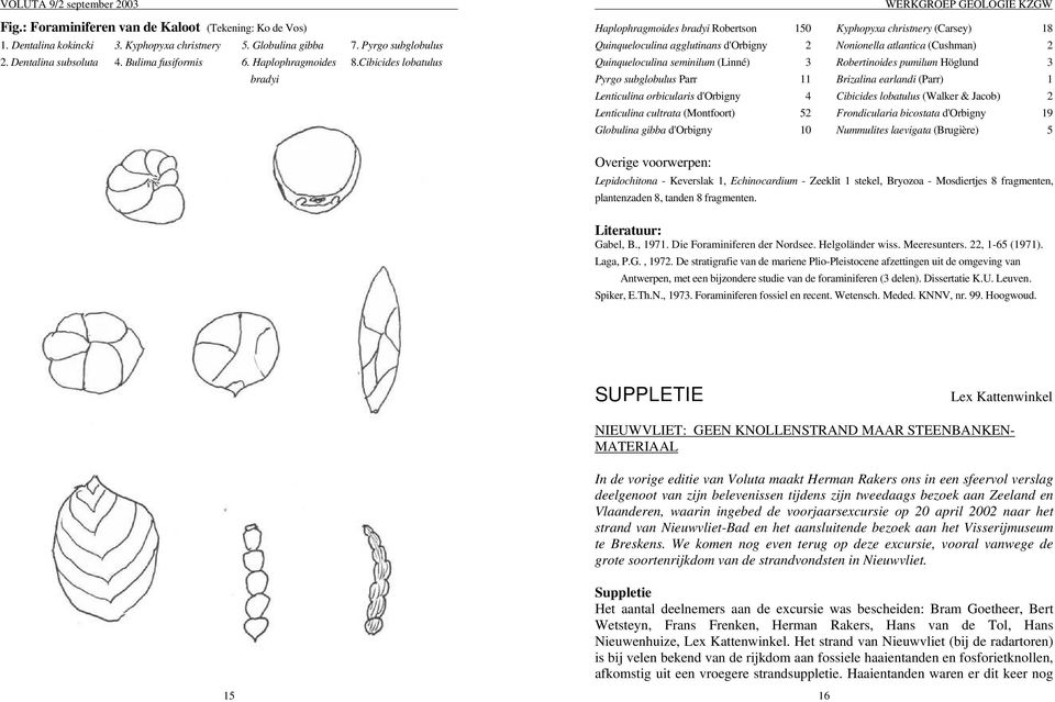 Cibicides lobatulus bradyi Haplophragmoides bradyi Robertson 150 Kyphopyxa christnery (Carsey) 18 Quinqueloculina agglutinans d'orbigny 2 Nonionella atlantica (Cushman) 2 Quinqueloculina seminilum