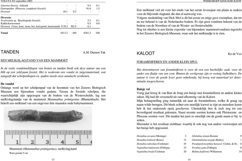 1 Kalkkokerwormen - - 0.5 0.0 Diversen (Veen, hout, steen, bot, basisgrind, haaientand) 9.70.2 382.9 6.1 Totaal 4513.2 100 6281.