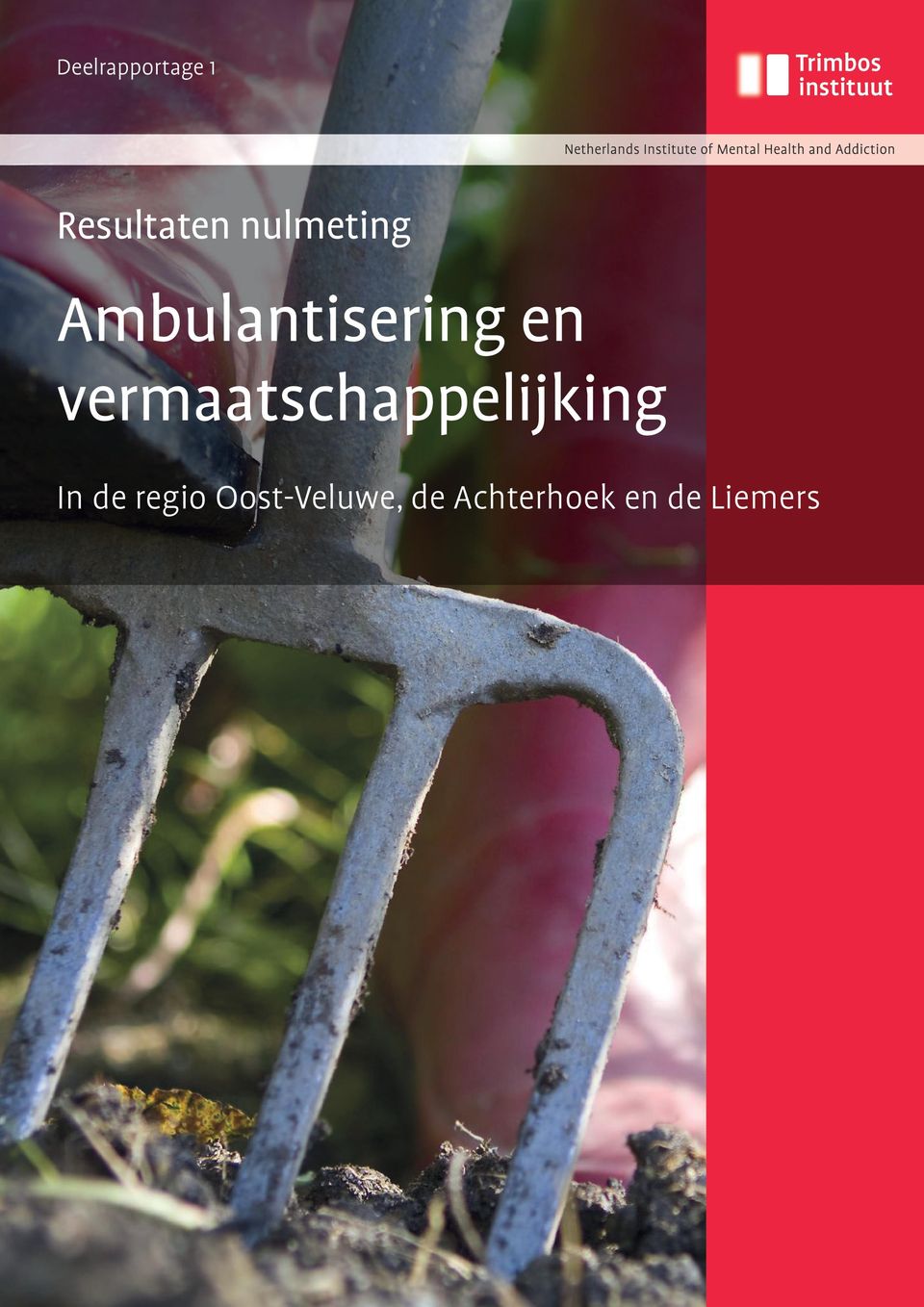 vermaatschappelijking In de