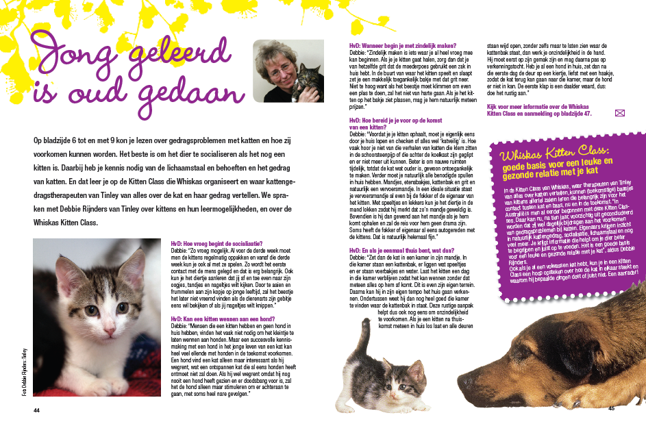 advertentie Kitten Special