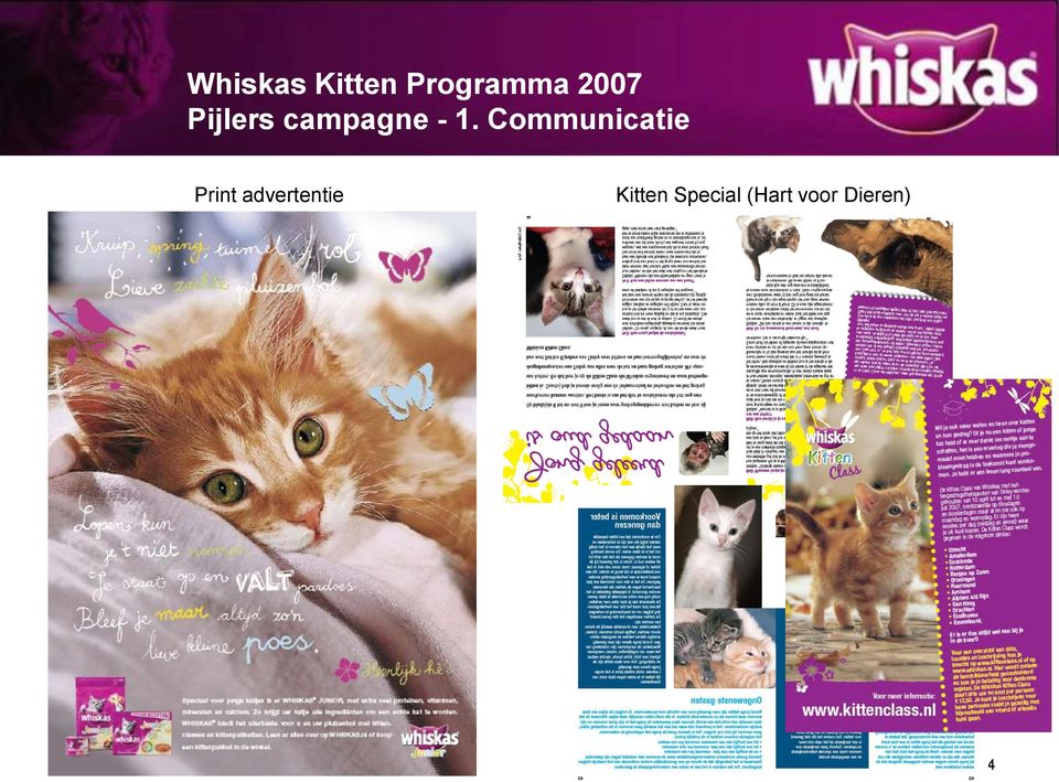 advertentie Kitten Special