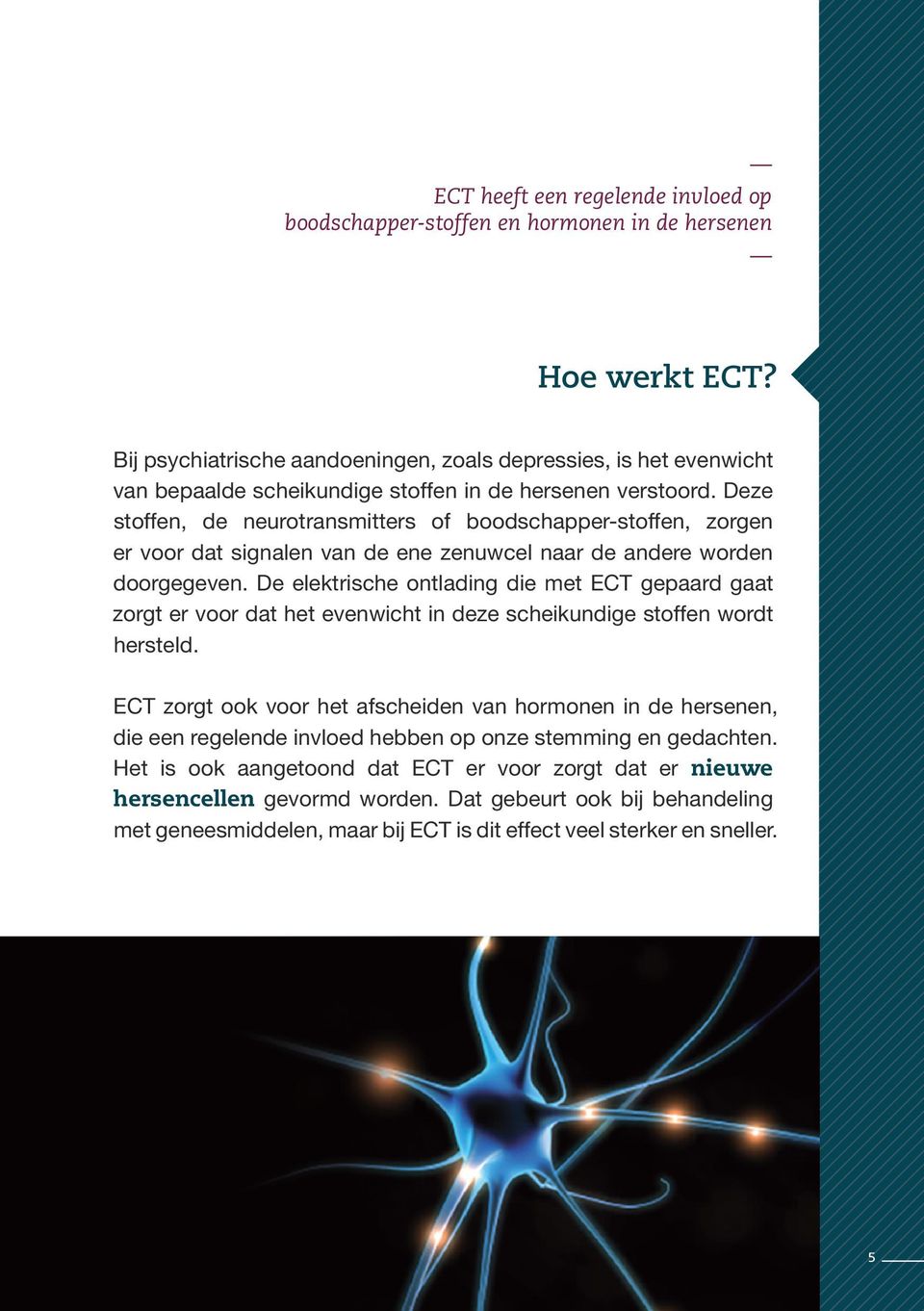 Deze stoffen, de neurotransmitters of boodschapper-stoffen, zorgen er voor dat signalen van de ene zenuwcel naar de andere worden doorgegeven.