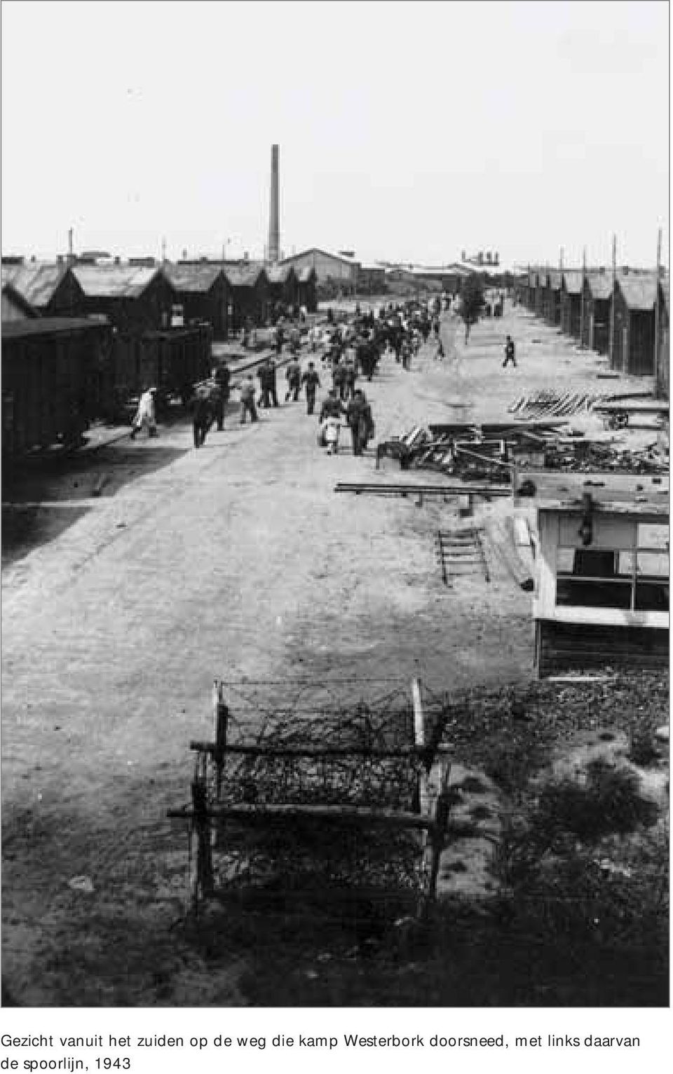 Westerbork doorsneed, met