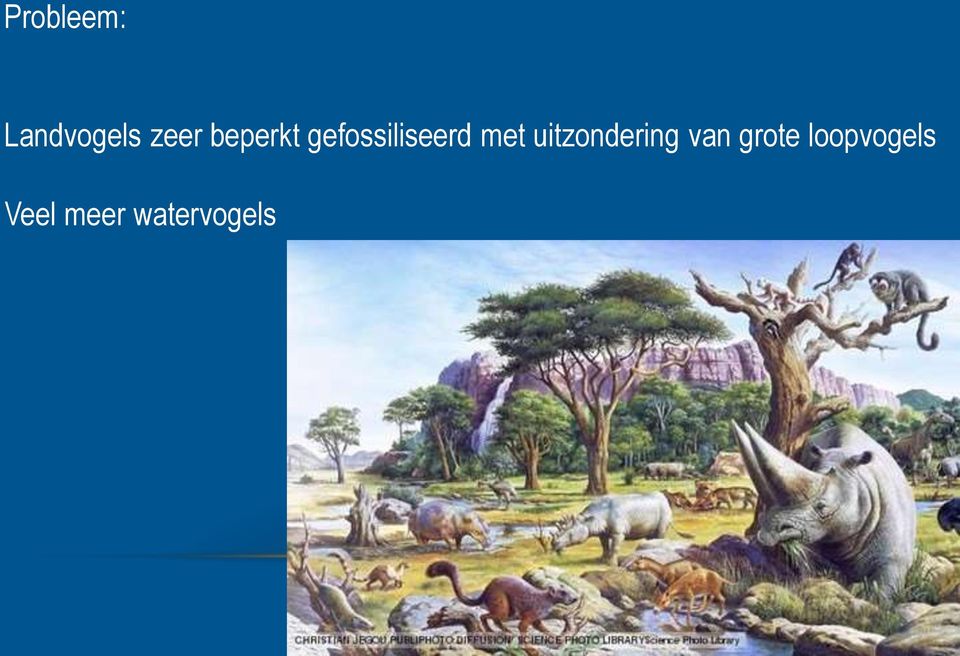 uitzondering van grote