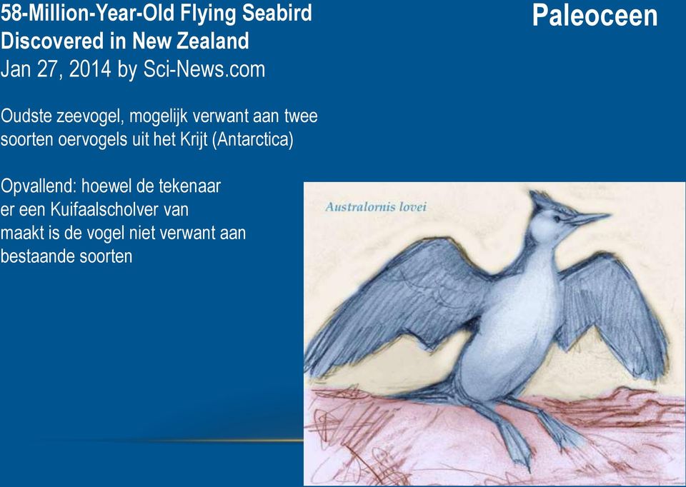 com Paleoceen Oudste zeevogel, mogelijk verwant aan twee soorten oervogels