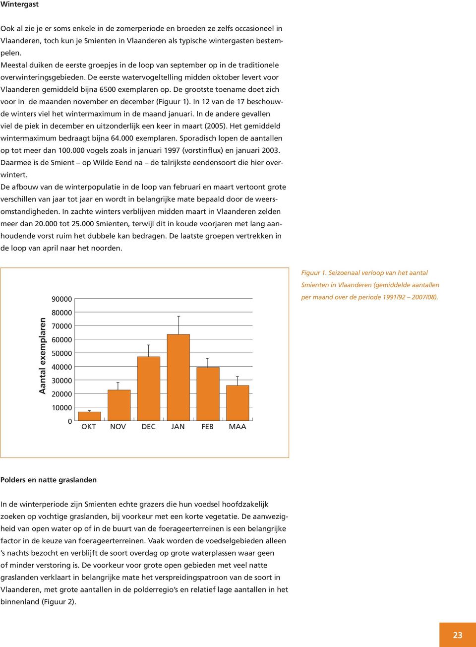 De eerste watervogeltelling midden oktober levert voor Vlaanderen gemiddeld bijna 6500 exemplaren op. De grootste toename doet zich voor in de maanden november en december (Figuur 1).