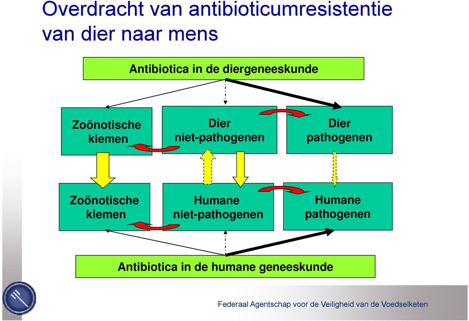 niet-pathogenen Dier pathogenen Zoönotische kiemen Humane
