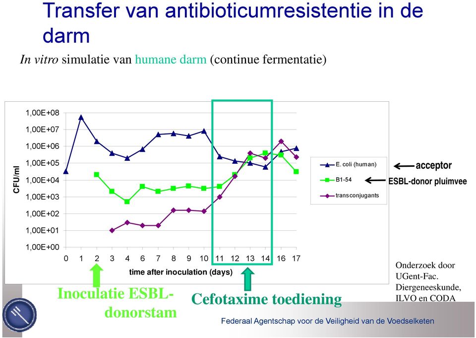 coli (human) B1-54 transconjugants acceptor ESBL-donor pluimvee 1,00E+02 1,00E+01 100E+00 1,00E+00 0 1 2 3 4 6