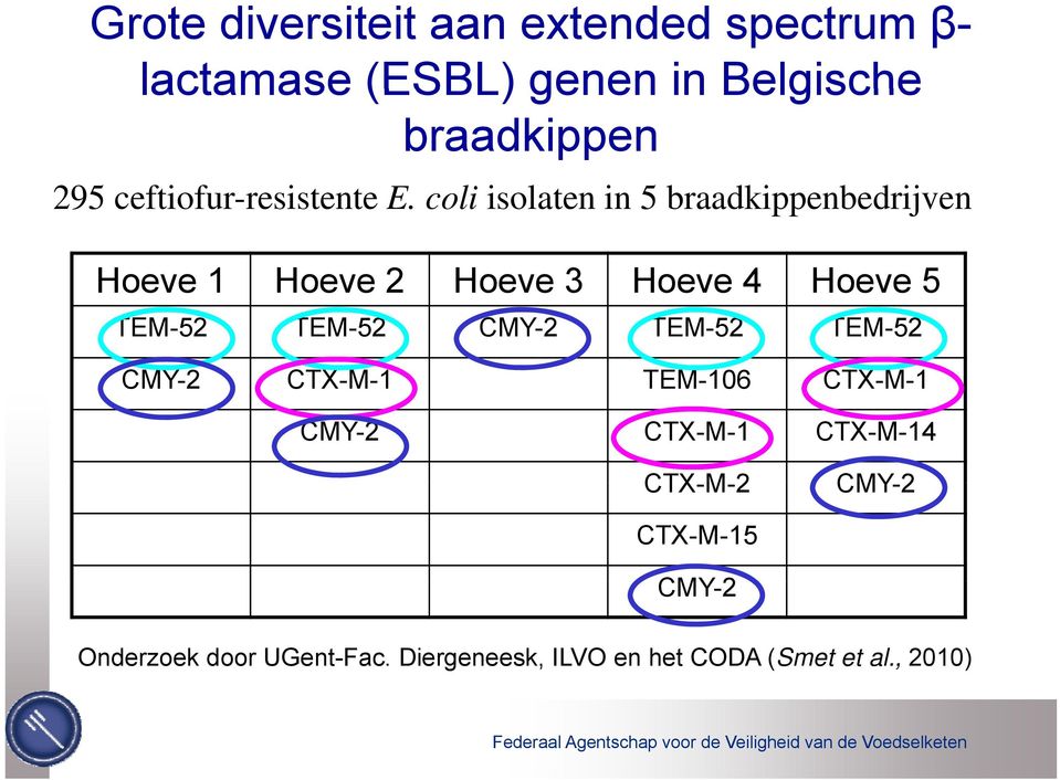 coliisolaten in 5 braadkippenbedrijven b d ij Hoeve 1 Hoeve 2 Hoeve 3 Hoeve 4 Hoeve 5 TEM-52 TEM-52