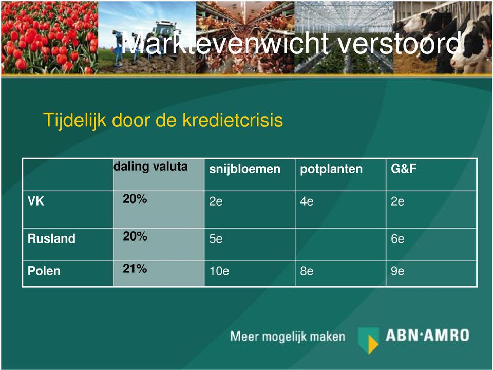 snijbloemen potplanten G&F VK 20% 2e