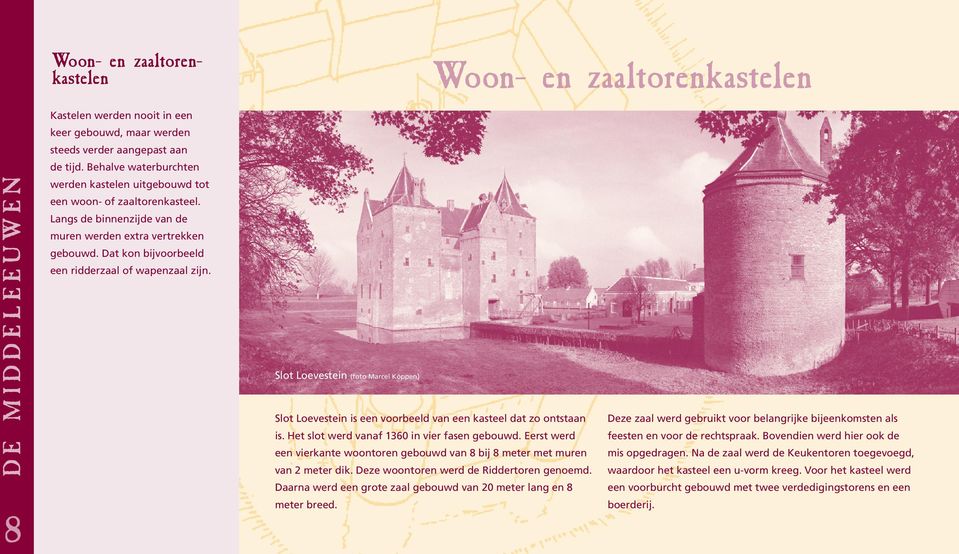Dat kon bijvoorbeeld een ridderzaal of wapenzaal zijn. Slot Loevestein (foto Marcel Köppen) Slot Loevestein is een voorbeeld van een kasteel dat zo ontstaan is.
