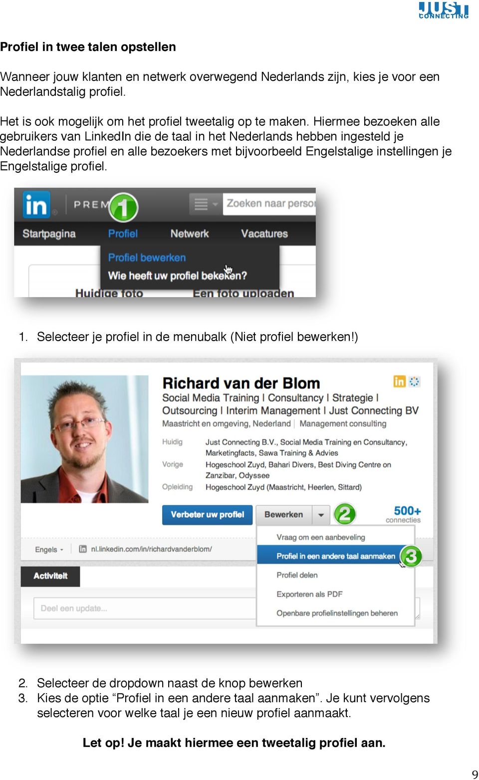 Hiermee bezoeken alle gebruikers van LinkedIn die de taal in het Nederlands hebben ingesteld je Nederlandse profiel en alle bezoekers met bijvoorbeeld Engelstalige
