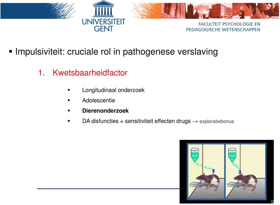 Kwetsbaarheidfactor Longitudinaal onderzoek