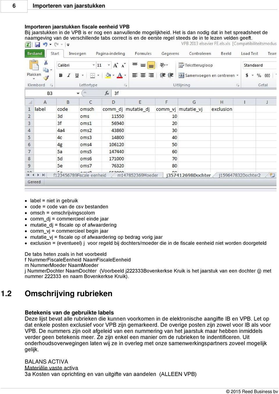 label = niet in gebruik code = code van de csv bestanden omsch = omschrijvingscolom comm_dj = commercieel einde jaar mutatie_dj = fiscale op of afwaardering comm_vj = commercieel begin jaar