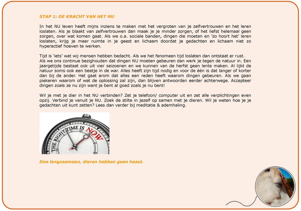 Tijd is iets wat wij mensen hebben bedacht. Als we het fenomeen tijd loslaten dan ontstaat er rust. Als we ons continue bezighouden dat dingen NU moeten gebeuren dan werk je tegen de natuur in.