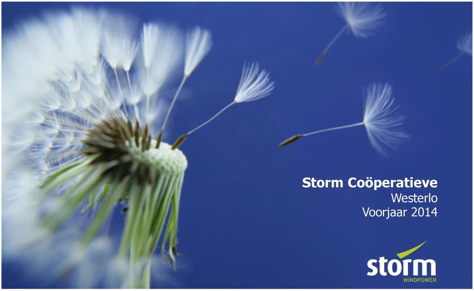 Storm Coöperatieve