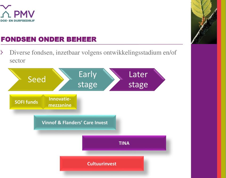 Early stage Later stage SOFI funds