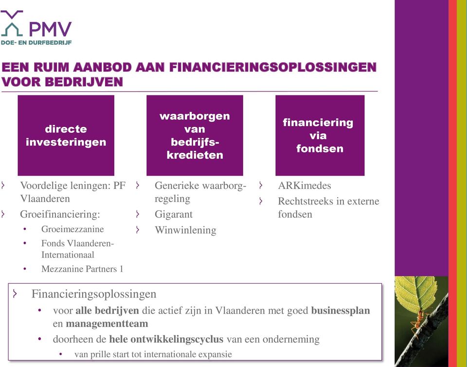 waarborgregeling Gigarant Winwinlening ARKimedes Rechtstreeks in externe fondsen Financieringsoplossingen voor alle bedrijven die actief zijn