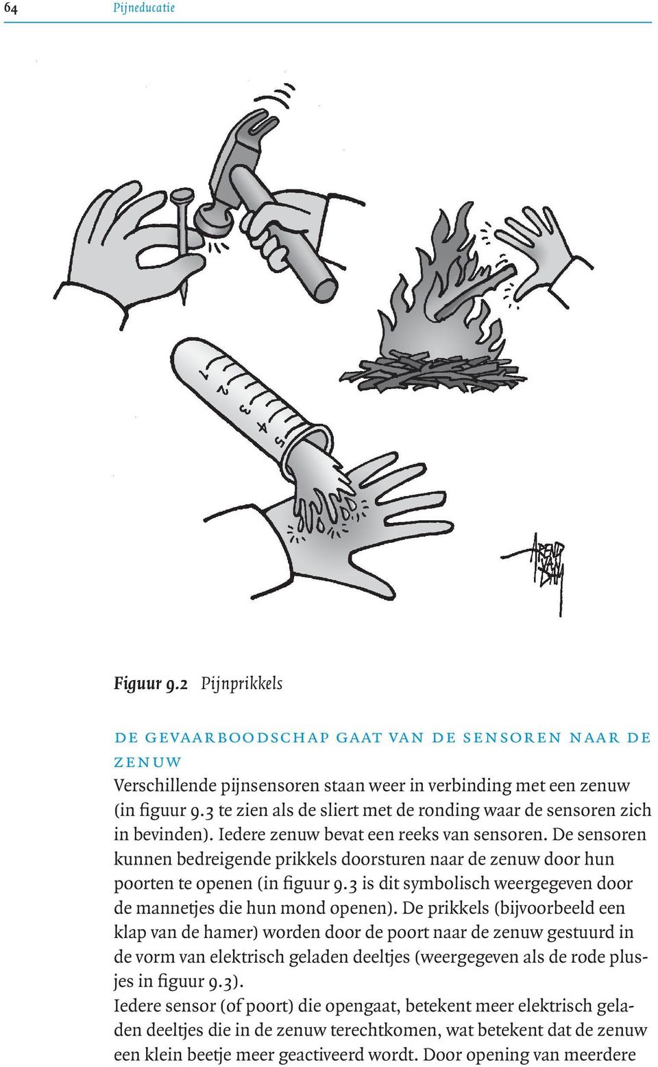 De sensoren kunnen bedreigende prikkels doorsturen naar de zenuw door hun poorten te openen (in figuur 9.3 is dit symbolisch weergegeven door de mannetjes die hun mond openen).