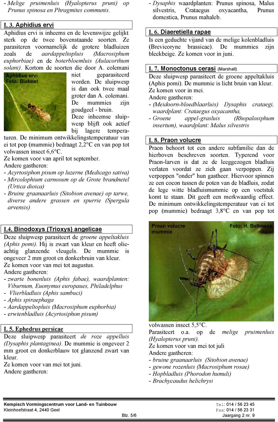 colemani niet geparasiteerd worden. De sluipwesp is dan ook twee maal groter dan A. colemani. De mummies zijn goudgeel - bruin. Deze inheemse sluipwesp blijft ook actief bij lagere temperaturen.