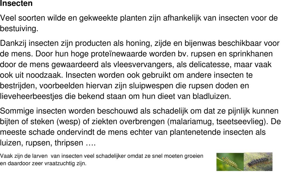 Insecten worden ook gebruikt om andere insecten te bestrijden, voorbeelden hiervan zijn sluipwespen die rupsen doden en lieveheerbeestjes die bekend staan om hun dieet van bladluizen.