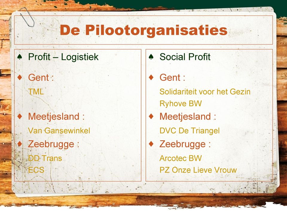 Social Profit Gent : Solidariteit voor het Gezin Ryhove BW