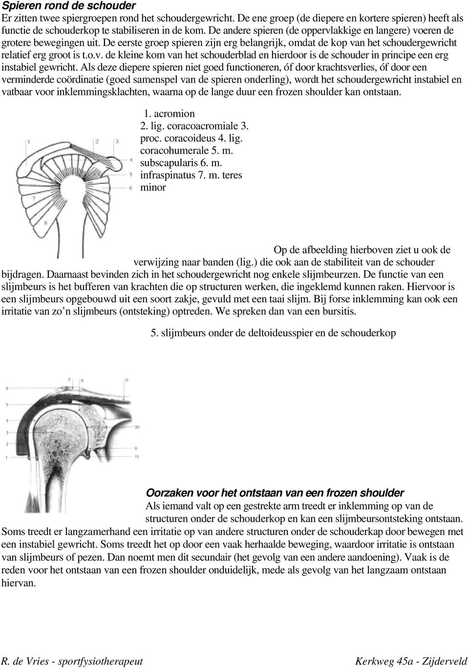 Als deze diepere spieren niet goed functioneren, óf door krachtsverlies, óf door een verminderde coördinatie (goed samenspel van de spieren onderling), wordt het schoudergewricht instabiel en vatbaar