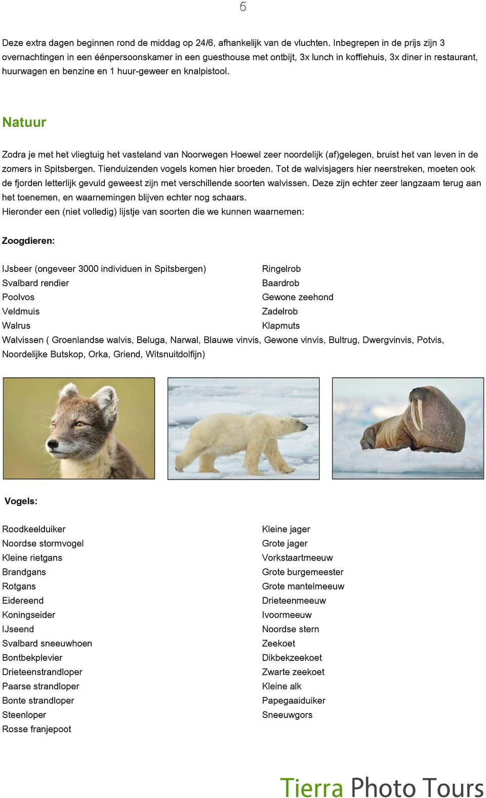 knalpistool. Natuur Zodra je met het vliegtuig het vasteland van Noorwegen Hoewel zeer noordelijk (af)gelegen, bruist het van leven in de zomers in Spitsbergen.