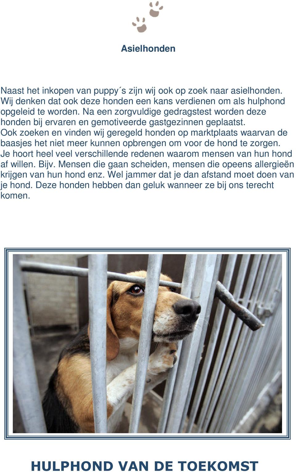 Ook zoeken en vinden wij geregeld honden op marktplaats waarvan de baasjes het niet meer kunnen opbrengen om voor de hond te zorgen.