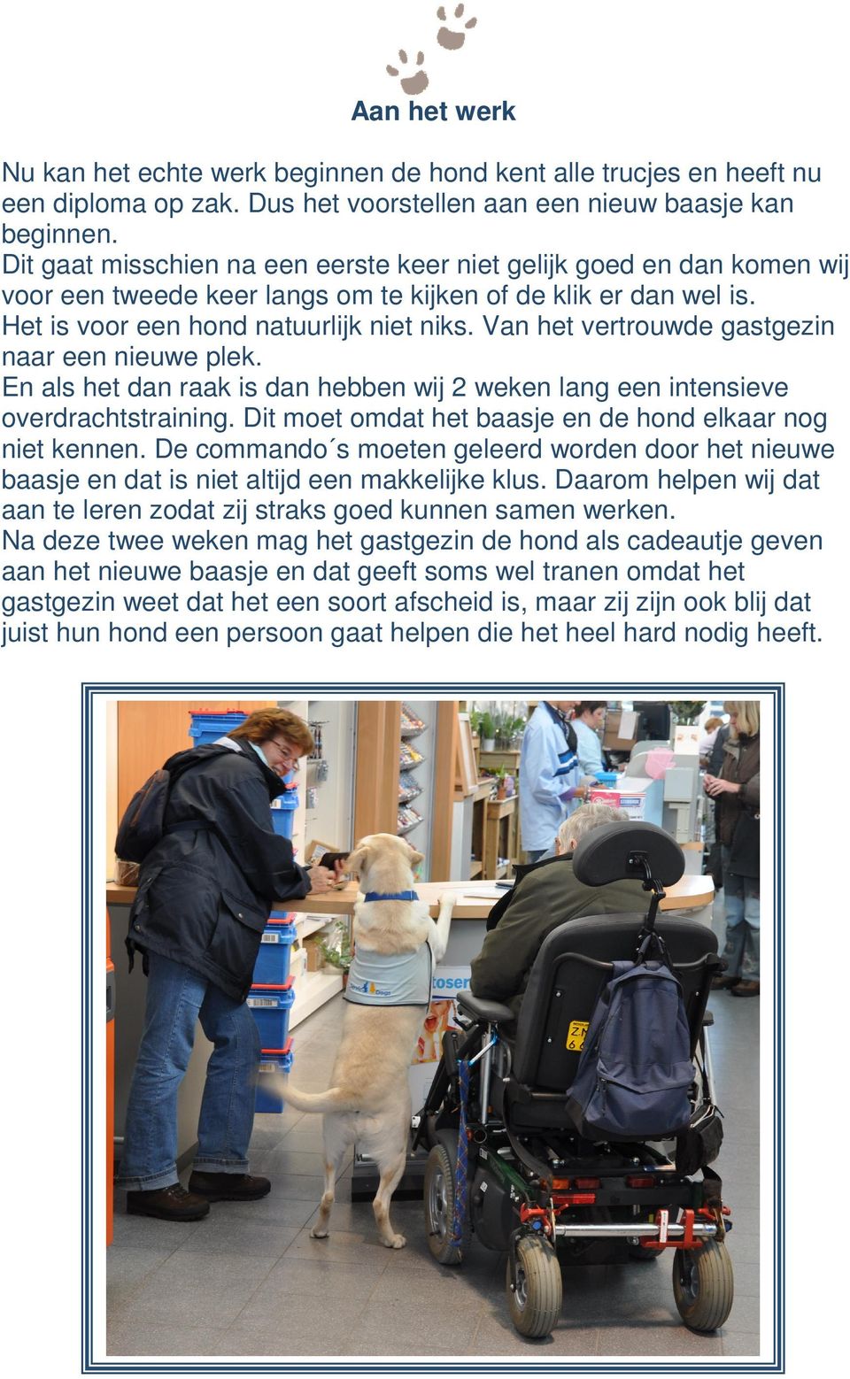 Van het vertrouwde gastgezin naar een nieuwe plek. En als het dan raak is dan hebben wij 2 weken lang een intensieve overdrachtstraining. Dit moet omdat het baasje en de hond elkaar nog niet kennen.