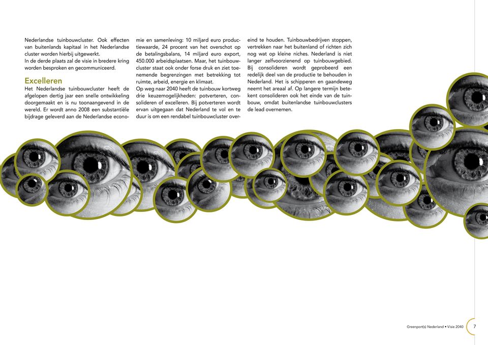 Excelleren Het Nederlandse tuinbouwcluster heeft de afgelopen dertig jaar een snelle ontwikkeling doorgemaakt en is nu toonaangevend in de wereld.