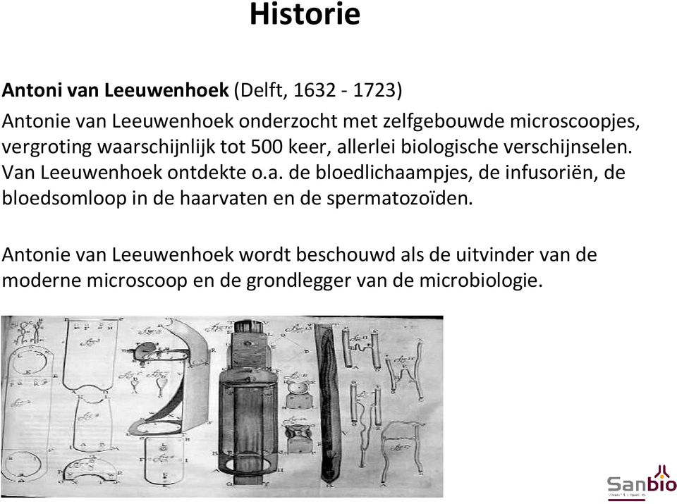 Van Leeuwenhoek ontdekte o.a. de bloedlichaampjes, de infusoriën, de bloedsomloop in de haarvaten en de spermatozoïden.
