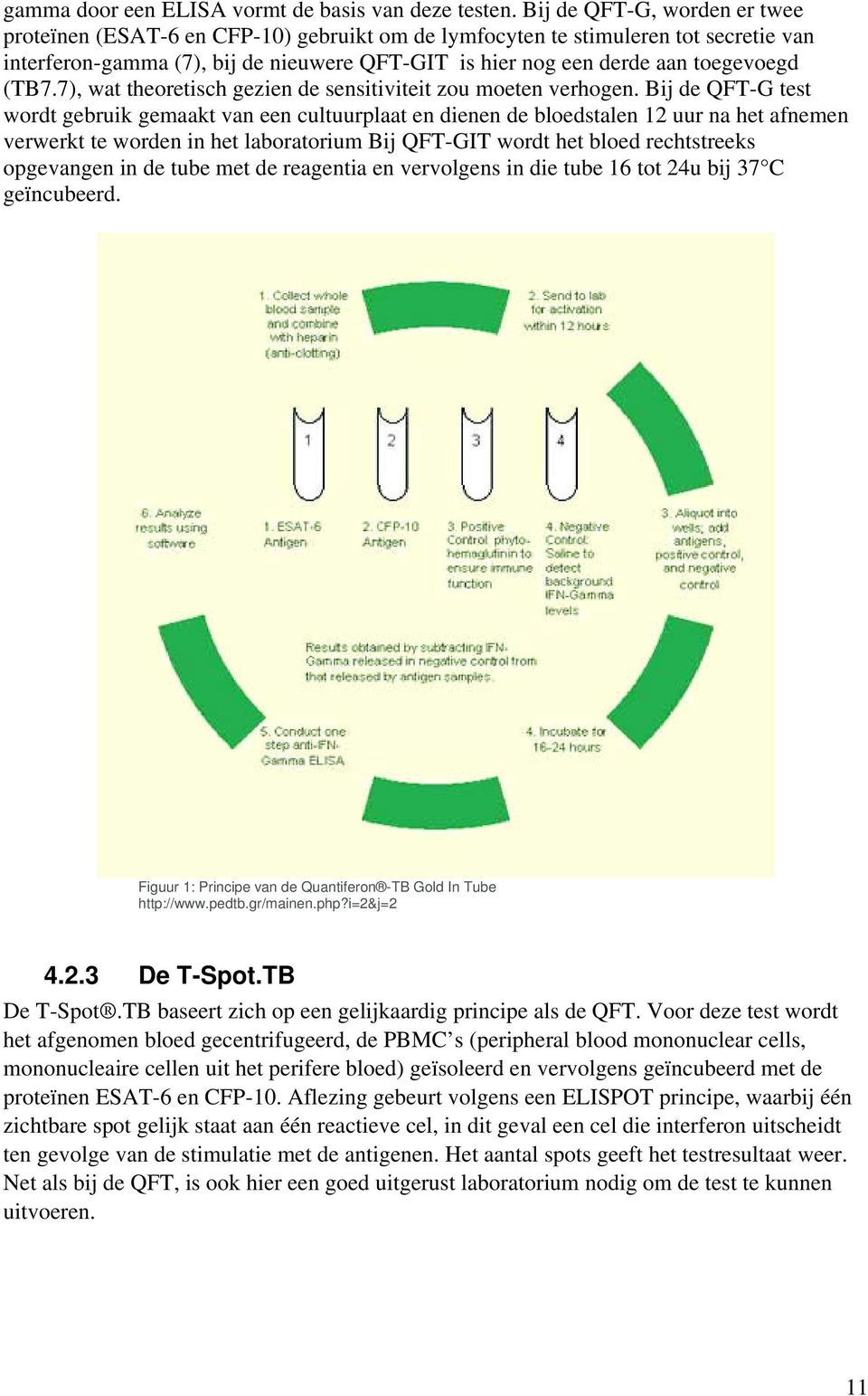 (TB7.7), wat theoretisch gezien de sensitiviteit zou moeten verhogen.