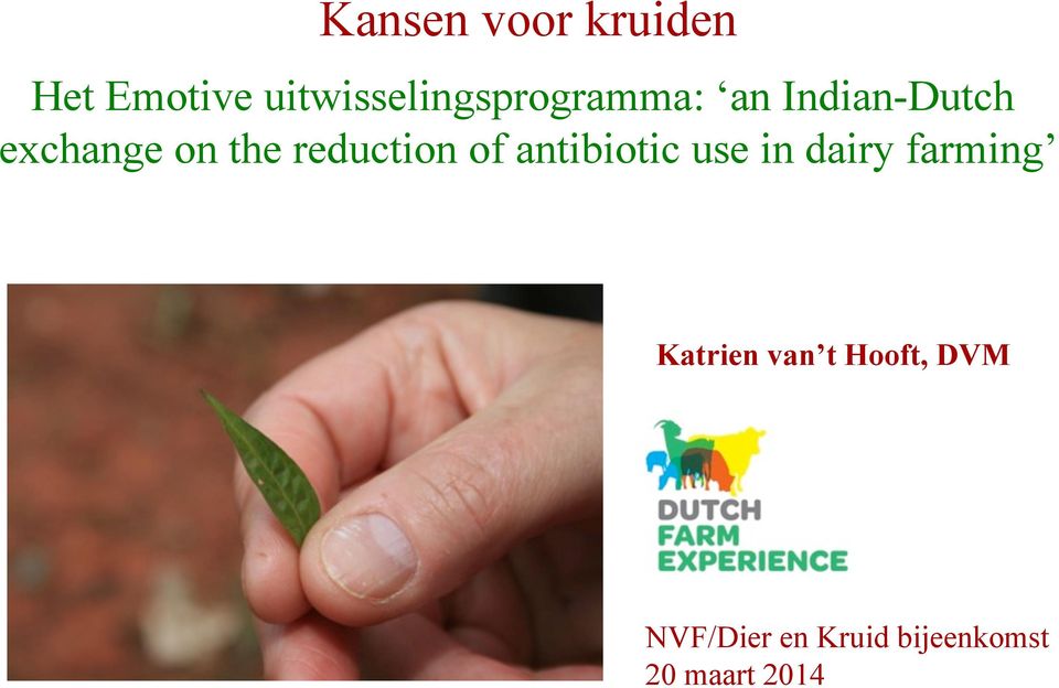 on the reduction of antibiotic use in dairy