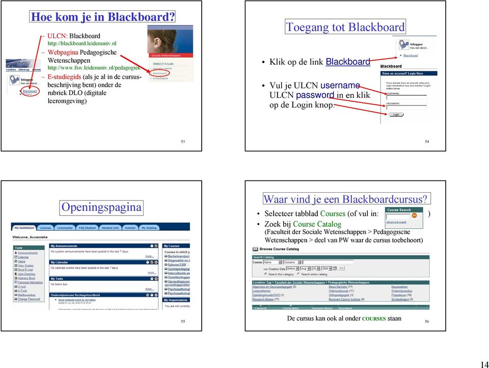 nl/pedagogiek E-studiegids (als je al in de cursusbeschrijving bent) onder de rubriek DLO (digitale leeromgeving) Toegang tot Blackboard Klik op de link