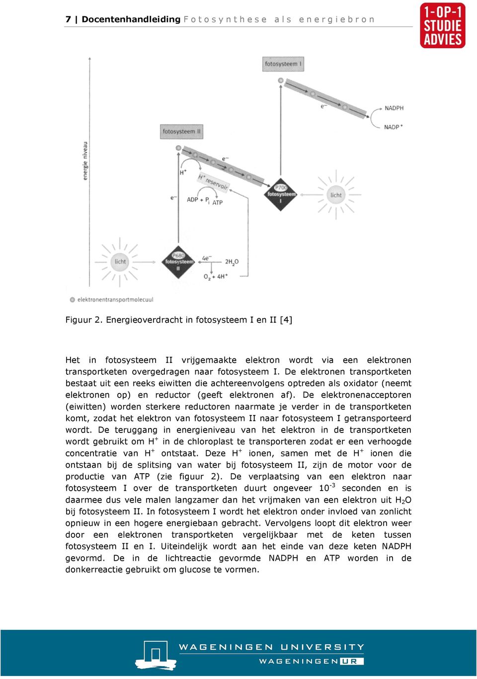 De elektronen transportketen bestaat uit een reeks eiwitten die achtereenvolgens optreden als oxidator (neemt elektronen op) en reductor (geeft elektronen af).