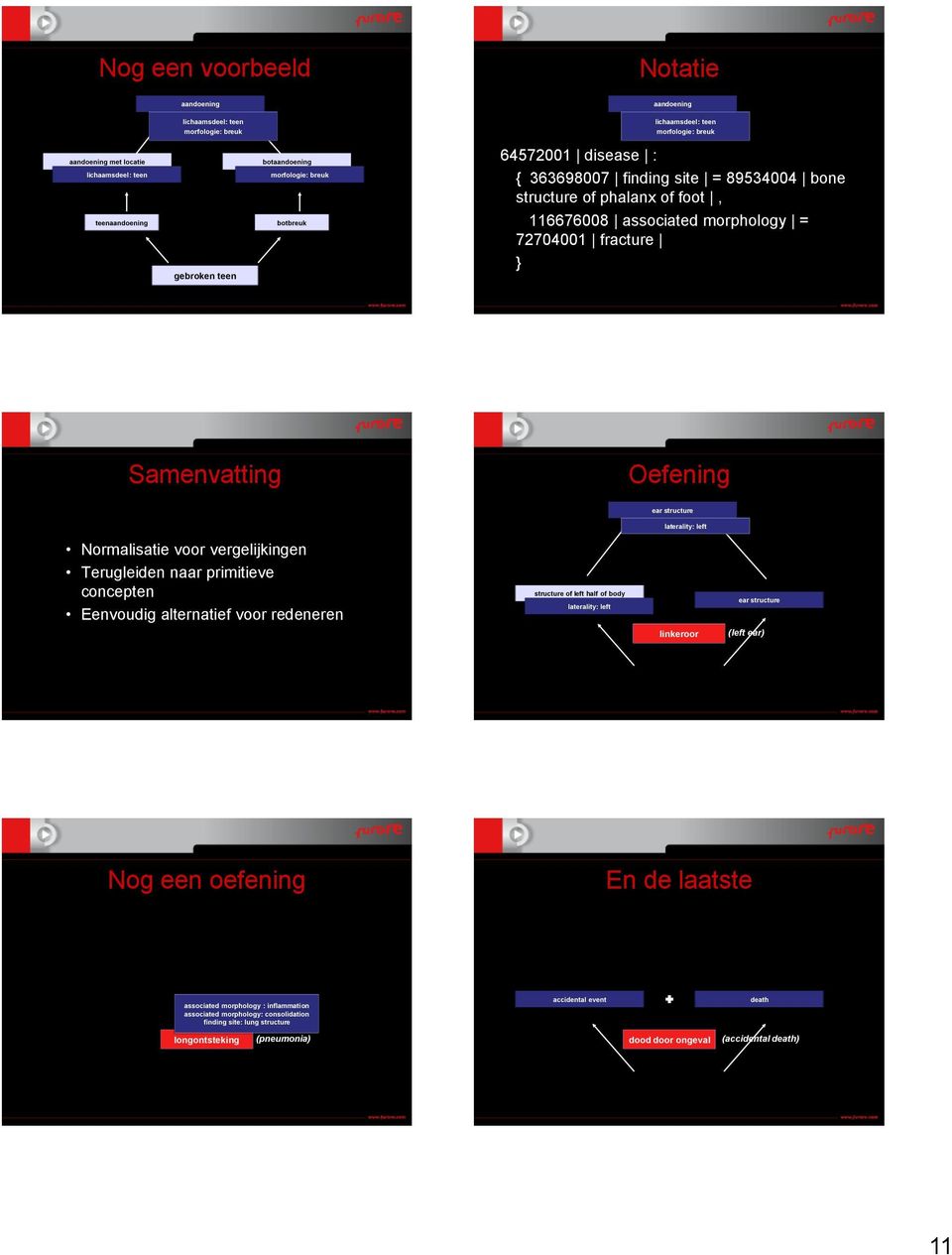 Oefening head ear structure laterality: left Normalisatie voor vergelijkingen Terugleiden naar primitieve concepten Eenvoudig alternatief voor redeneren structure of left half of body laterality: