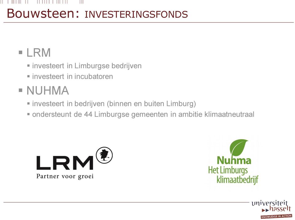 investeert in bedrijven (binnen en buiten Limburg)