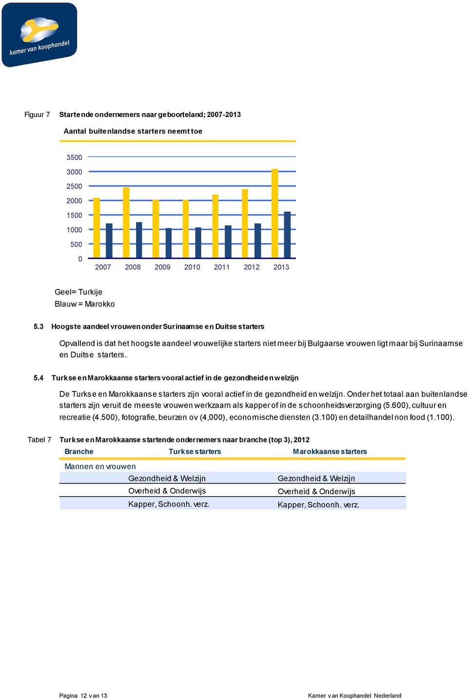 5.4 Turkse en Marokkaanse starters vooral actief in de gezondheid en w elzijn De Turkse en Marokkaanse starters zijn vooral actief in de gezondheid en welzijn.