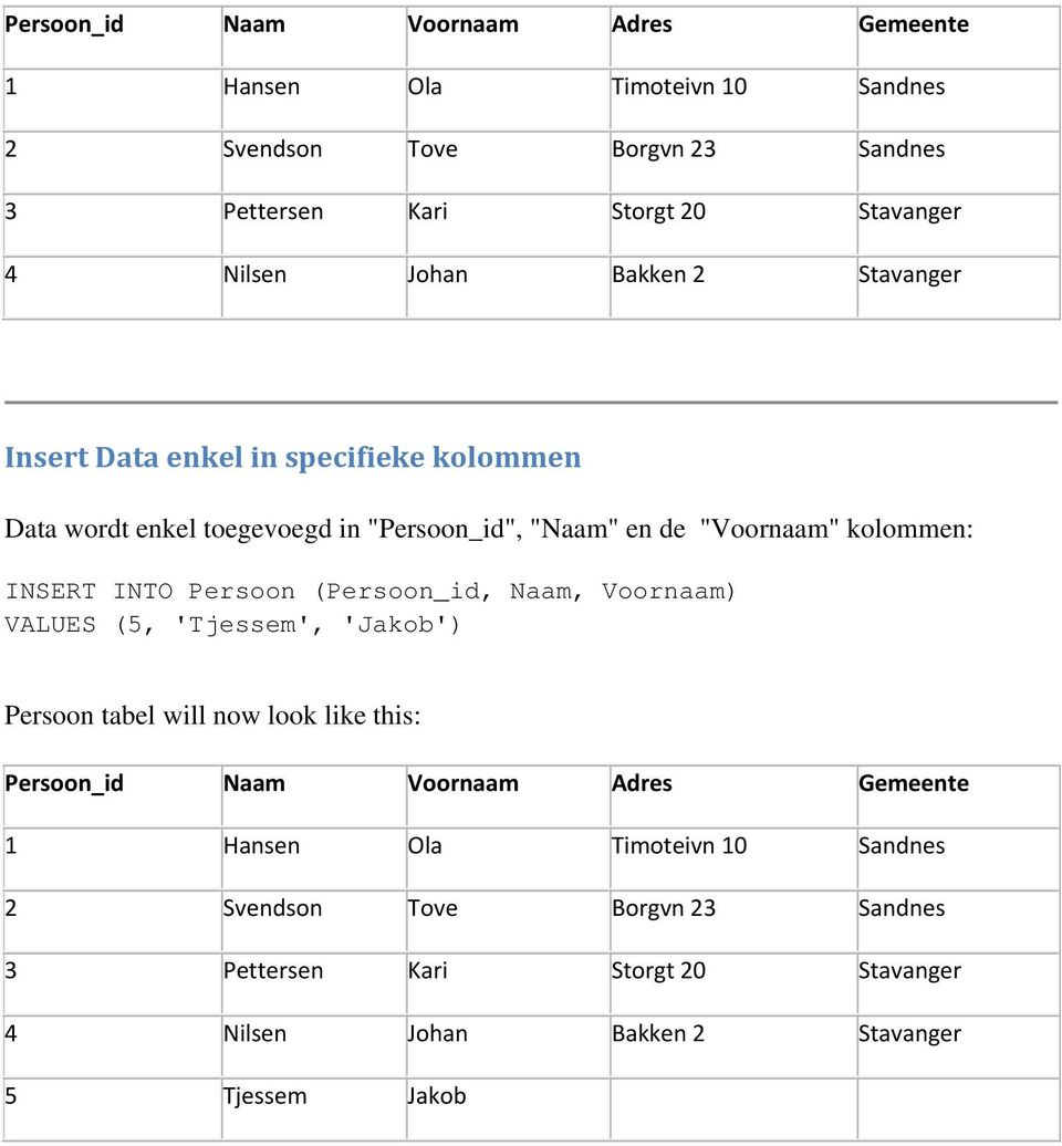 INTO Persoon (Persoon_id, Naam, Voornaam) VALUES (5, 'Tjessem', 'Jakob') Persoon