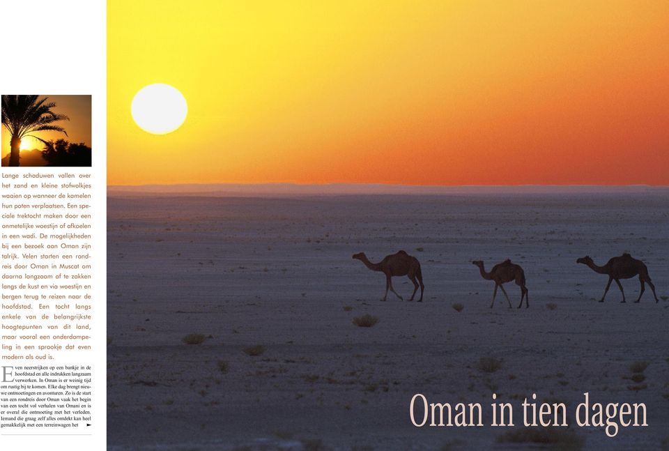 Velen starten een rondreis door Oman in Muscat om daarna langzaam af te zakken langs de kust en via woestijn en bergen terug te reizen naar de hoofdstad.