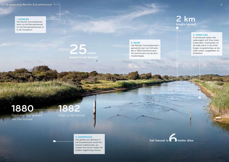 VOGELTJES In het kanaal voelen vele watervogels zich thuis zoals kuifeenden, meerkoeten en de wilde eend. In de winter krijgen zij gezelschap van de wilde zwaan, zaagbekken en brilduikers.