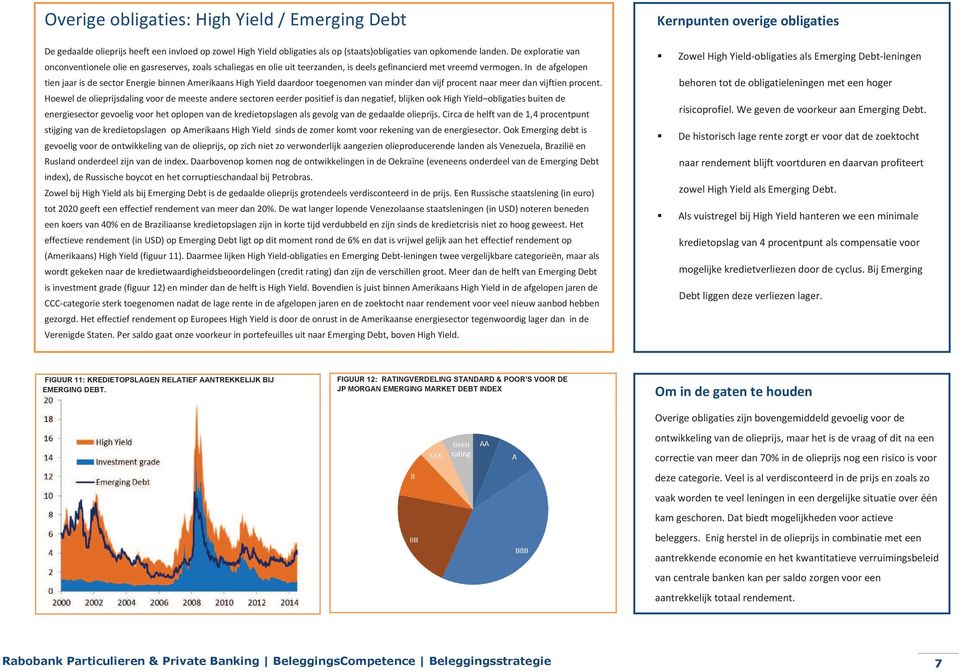 In de afgelopen tien jaar is de sector Energie binnen Amerikaans High Yield daardoor toegenomen van minder dan vijf procent naar meer dan vijftien procent.