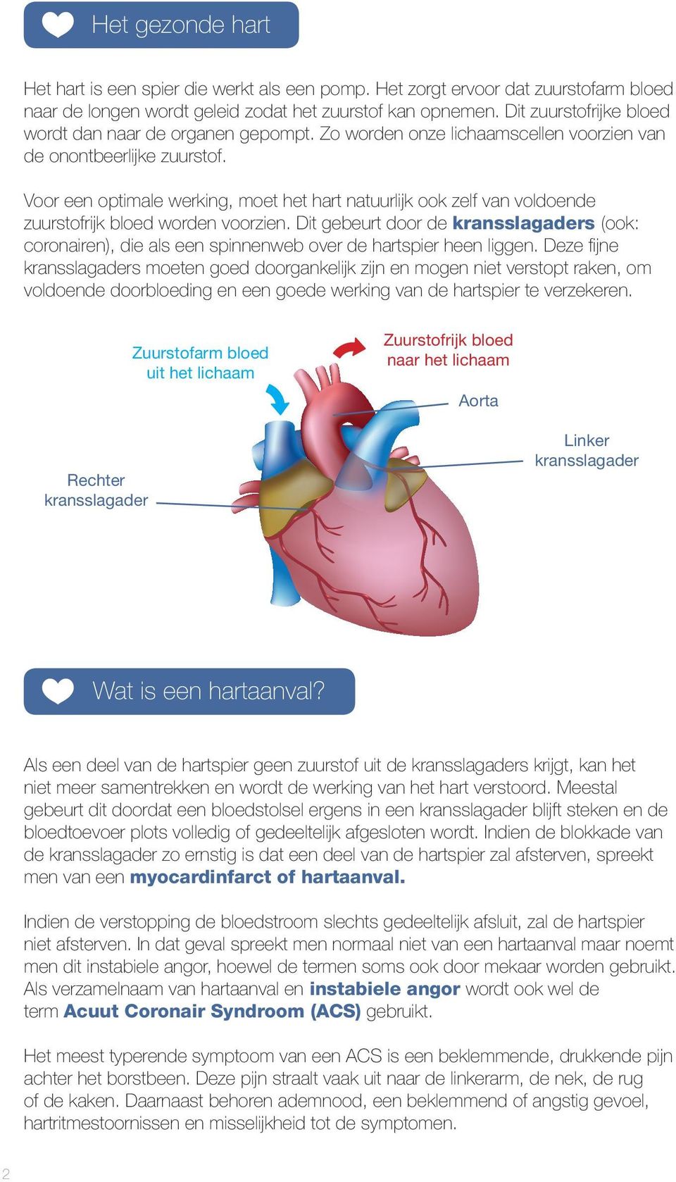 Voor een optimale werking, moet het hart natuurlijk ook zelf van voldoende zuurstofrijk bloed worden voorzien.