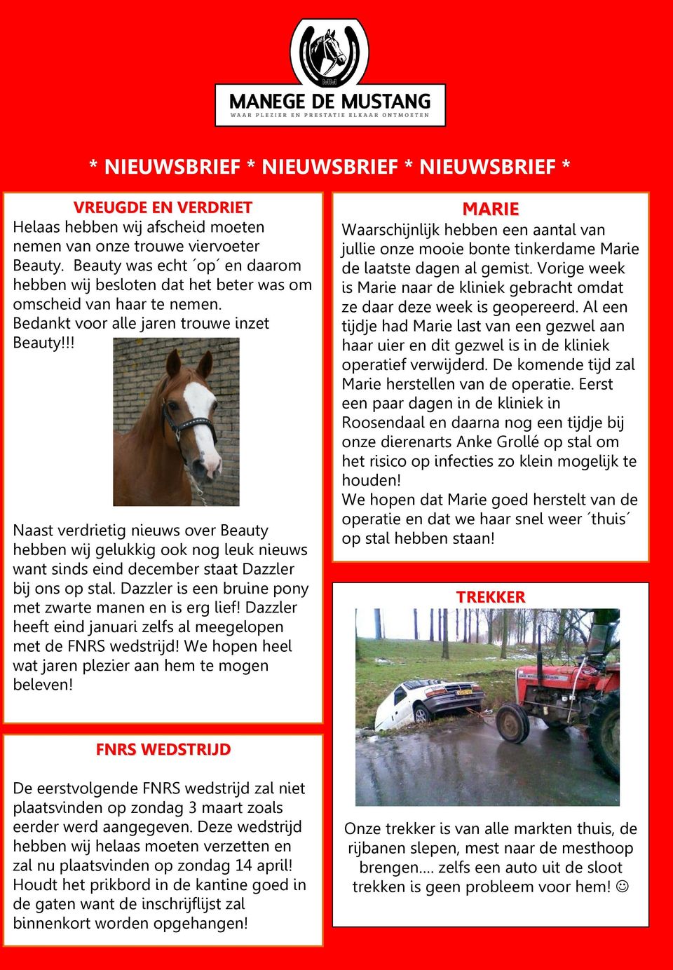 !! Naast verdrietig nieuws over Beauty hebben wij gelukkig ook nog leuk nieuws want sinds eind december staat Dazzler bij ons op stal. Dazzler is een bruine pony met zwarte manen en is erg lief!