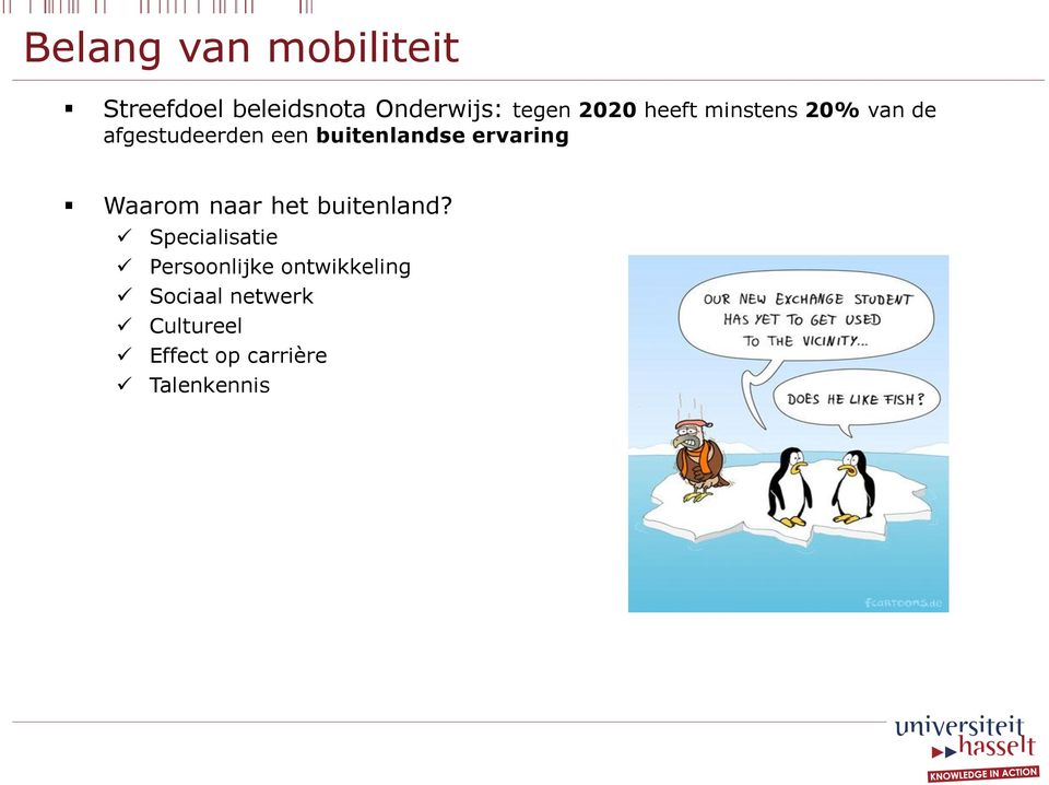 ervaring Waarom naar het buitenland?