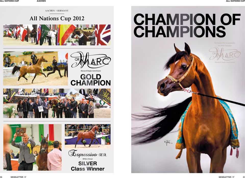 Al Shaqab x Swete Dreams) (Marwan Al Shaqab x Swete Dreams) GOLD CHAMPION