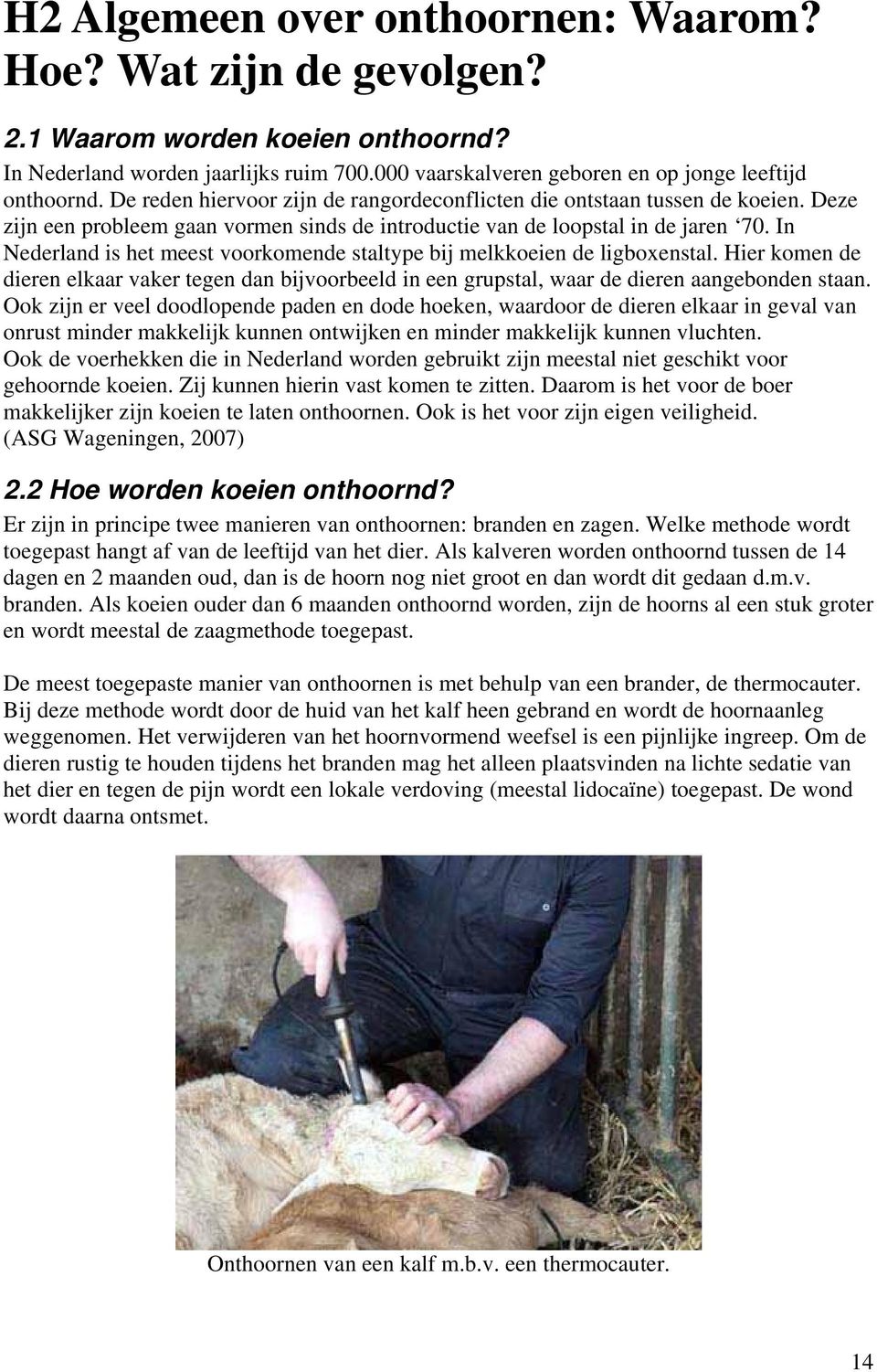 In Nederland is het meest voorkomende staltype bij melkkoeien de ligboxenstal. Hier komen de dieren elkaar vaker tegen dan bijvoorbeeld in een grupstal, waar de dieren aangebonden staan.