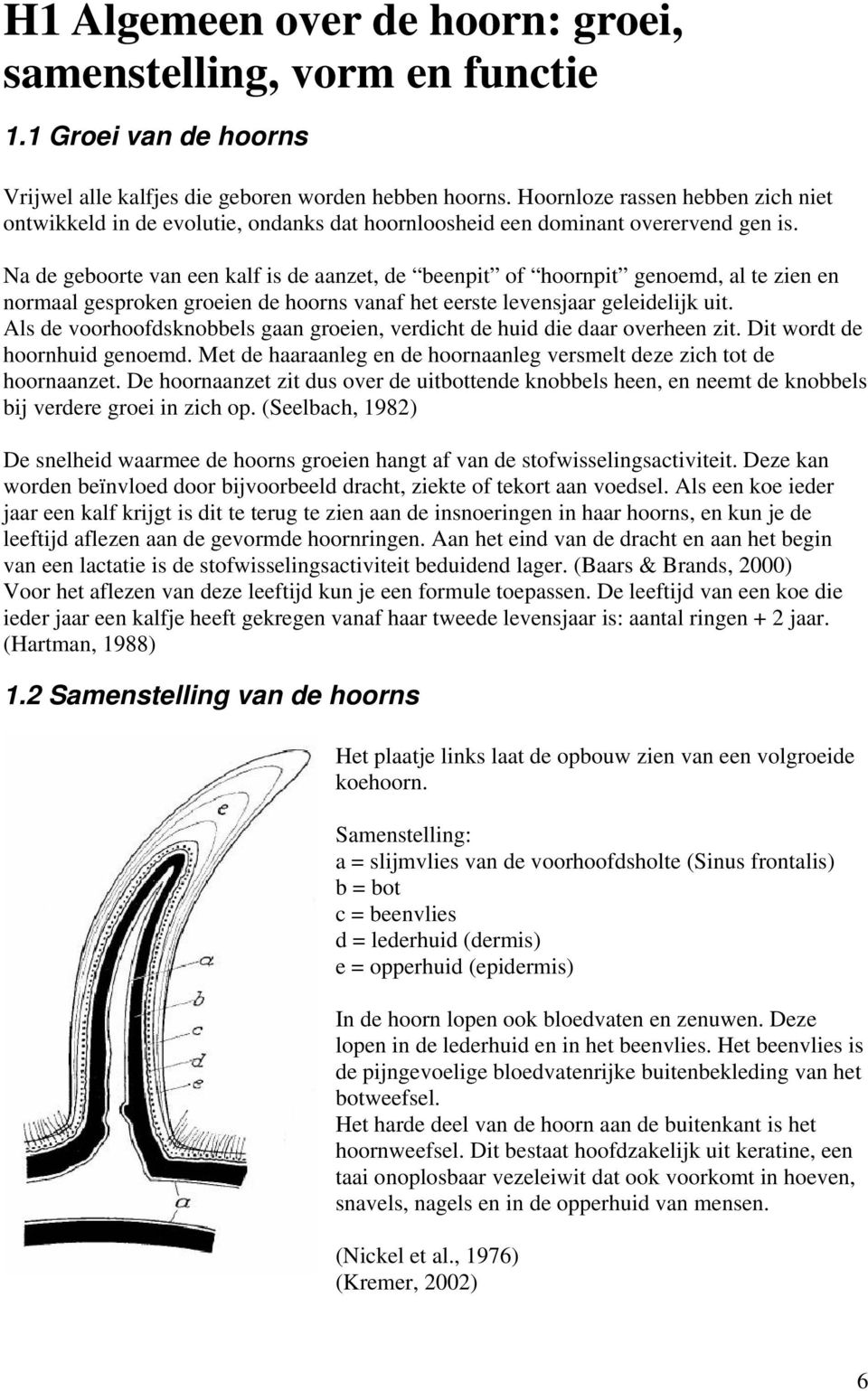 Na de geboorte van een kalf is de aanzet, de beenpit of hoornpit genoemd, al te zien en normaal gesproken groeien de hoorns vanaf het eerste levensjaar geleidelijk uit.