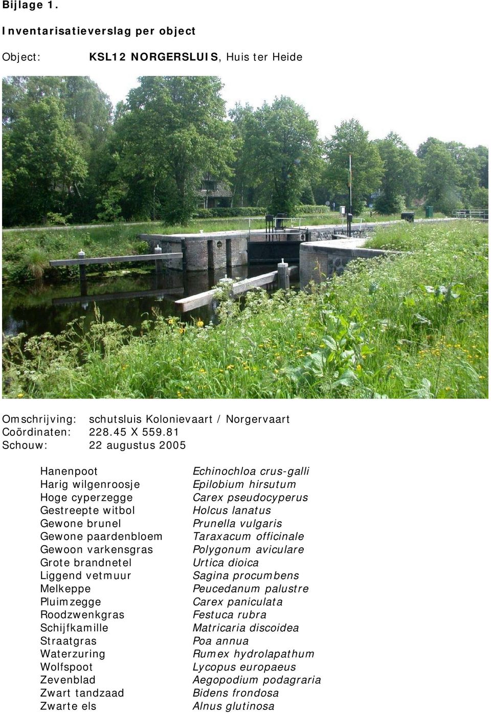 Roodzwenkgras Schijfkamille Straatgras Waterzuring Wolfspoot Zevenblad Zwart tandzaad Zwarte els Echinochloa crus-galli Epilobium hirsutum Carex pseudocyperus Holcus lanatus Prunella vulgaris